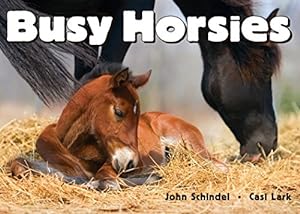 Seller image for Busy Horsies (A Busy Book) for sale by Reliant Bookstore