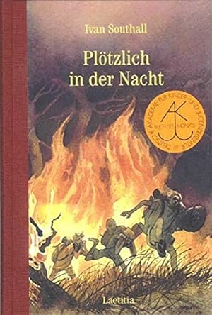 Seller image for Pltzlich in der Nacht for sale by Gabis Bcherlager
