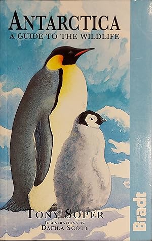 Bild des Verkufers fr Antarctica: Guide to the Wildlife zum Verkauf von Mister-Seekers Bookstore