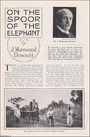 Seller image for Elephant Hunting : on the Spoor of the Elephant. An uncommon original article from the Wide World Magazine, 1923. for sale by Cosmo Books