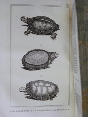 Bild des Verkufers fr Oeuvres du comte de Lacpde comprenant l'histoire naturelle des quadrupdes ovipares, des serpens, des poissons et des ctacs zum Verkauf von Librairie Le Feu Follet