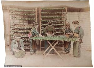 Rare Original Albumen Photograph - Japanese Sericulture - Sorting Cocoons and Feeding Silkworms i...