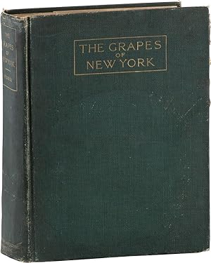 Bild des Verkufers fr The Grapes of New York zum Verkauf von Lorne Bair Rare Books, ABAA