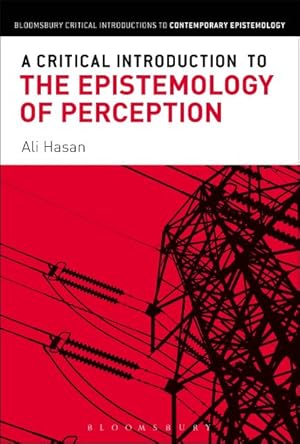 Imagen del vendedor de Critical Introduction to the Epistemology of Perception a la venta por GreatBookPricesUK