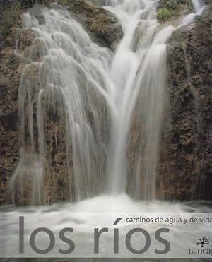Seller image for LOS ROS. CAMINOS DE AGUA Y DE VIDA for sale by Librera Vobiscum