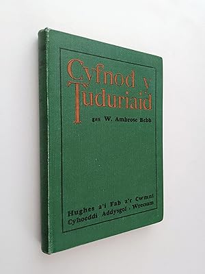 Cyfnod y Tuduriaid 1485-1603 (Cyfres Hanes Cymru)