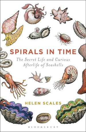 Bild des Verkufers fr Spirals in Time : The Secret Life and Curious Afterlife of Seashells zum Verkauf von Smartbuy