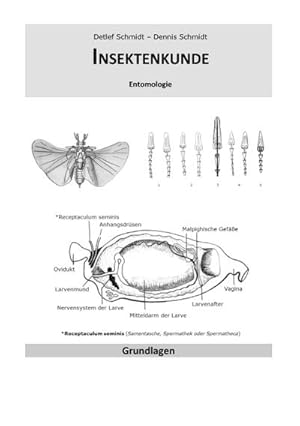 Bild des Verkufers fr Insektenkunde : Entomologie zum Verkauf von Smartbuy