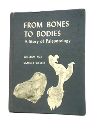 Seller image for From Bones to Bodies for sale by World of Rare Books