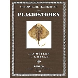 Bild des Verkufers fr Systematische Beschreibung der Plagiostomen zum Verkauf von Versandantiquariat Nussbaum