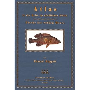 Bild des Verkufers fr Atlas zu der Reise im nrdlichen Afrika - Fische des roten Meeres Herausgegeben von der Senckenbergischen naturforschenden Gesellschaft zum Verkauf von Versandantiquariat Nussbaum