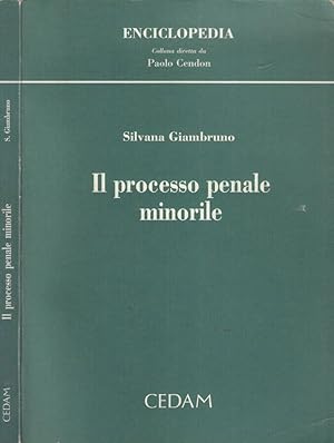 Bild des Verkufers fr Il processo penale minorile zum Verkauf von Biblioteca di Babele