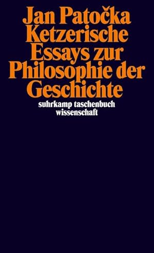 Bild des Verkufers fr Ketzerische Essays zur Philosophie der Geschichte zum Verkauf von Smartbuy