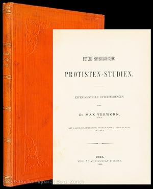 Psycho-physiologische Protisten-Studien. experimentelle Untersuchungen.