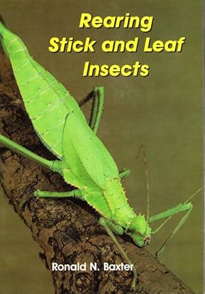 Seller image for Rearing Stick and Leaf Insects for sale by PEMBERLEY NATURAL HISTORY BOOKS BA, ABA