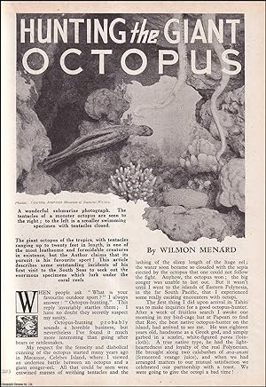 Seller image for Hunting the Giant Octopus in the South Seas. An uncommon original article from the Wide World Magazine, 1947. for sale by Cosmo Books