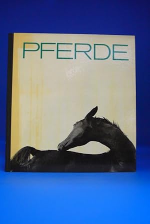 Pferde -