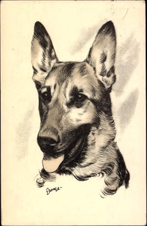 Künstler Ansichtskarte / Postkarte Schäferhund, Tierportrait