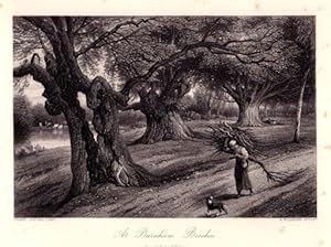 At Burnham Beeches. Stahlstich von A.Willmore nach Birket Foster aus Picturesque Europe.