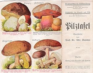 Pilztafel um 1914, Kriegsausschuß für Volksernährung, 1. Weltkrieg, Pilze