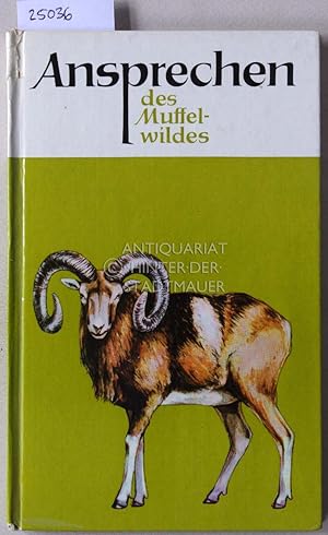 Seller image for Ansprechen des Muffelwildes. for sale by Antiquariat hinter der Stadtmauer