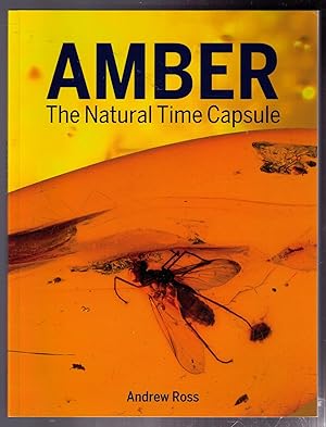 Immagine del venditore per Amber: The Natural Time Capsule venduto da CARDINAL BOOKS  ~~  ABAC/ILAB