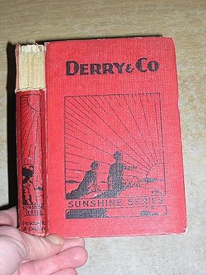 Seller image for Derry & Co Life Boys for sale by Neo Books