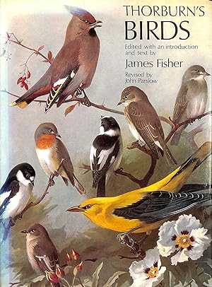 Imagen del vendedor de Thorburn's Birds a la venta por M Godding Books Ltd