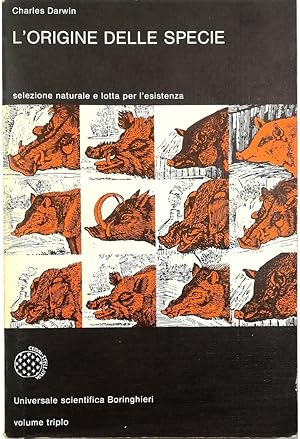 Imagen del vendedor de L'origine delle specie a la venta por Libreria Tara