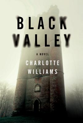 Imagen del vendedor de Black Valley (Paperback or Softback) a la venta por BargainBookStores