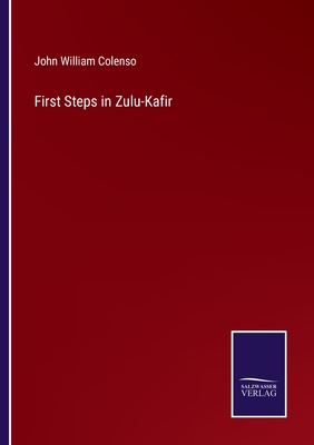 Seller image for First Steps in Zulu-Kafir (Paperback or Softback) for sale by BargainBookStores
