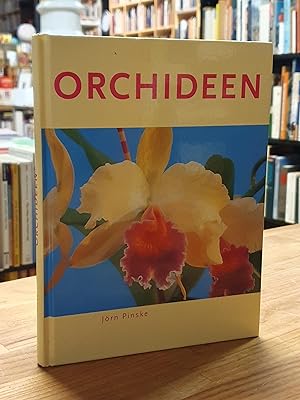 Orchideen,