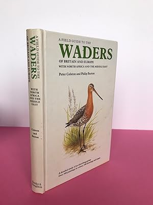 A Field Guide to the Waders of Britain and Europe with North Africa and the Middle East