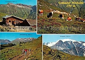 Postkarte Carte Postale 73861735 Badgastein AT Tuerchlwand Gadauner Hochalm Silberpfennig Schareck
