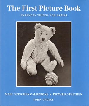 The First Picture Book_ Everyday Things for Babies