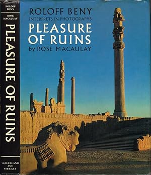Interprets in photographs: Pleasure of Ruins