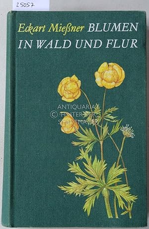 Blumen in Wald und Flur.