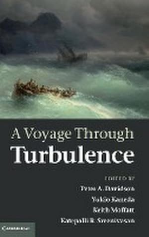 Immagine del venditore per A Voyage Through Turbulence venduto da AHA-BUCH GmbH