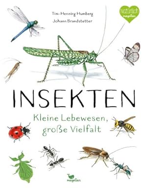 Bild des Verkufers fr Insekten - Kleine Lebewesen, groe Vielfalt zum Verkauf von AHA-BUCH GmbH