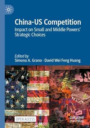 Seller image for China-US Competition: Impact on Small and Middle Powers' Strategic Choices [Paperback ] for sale by booksXpress