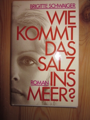 Bild des Verkufers fr Wie kommt das Salz ins Meer? Roman zum Verkauf von Versandantiquariat Schfer