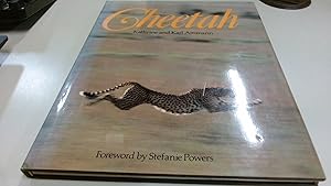 Bild des Verkufers fr Cheetah zum Verkauf von BoundlessBookstore