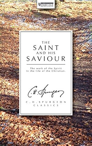 Seller image for The Saint And His Saviour [Soft Cover ] for sale by booksXpress