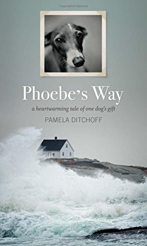 Seller image for Phoebe's Way [Hardcover ] for sale by booksXpress