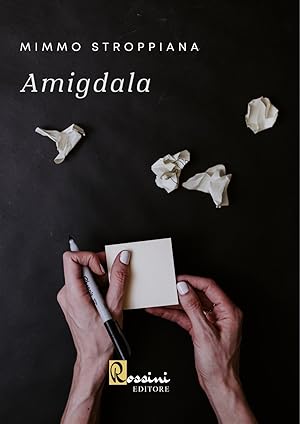 Seller image for Amigdala for sale by Libro Co. Italia Srl