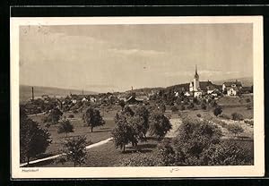 Ansichtskarte Hochdorf, Panorama des Ortes mit Landstrasse