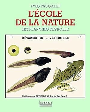 Seller image for L'cole de la nature: Les planches Deyrolle for sale by JLG_livres anciens et modernes
