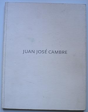 Juan José Cambre, Pinturas 2001-2004