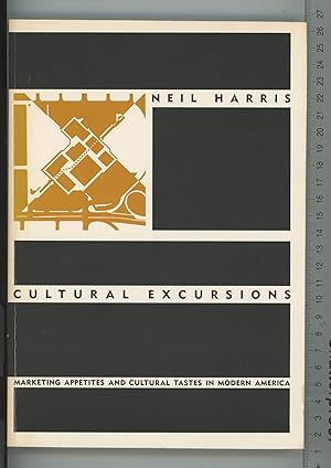 Immagine del venditore per Cultural Excursions: Marketing Appetites and Cultural Tastes in Modern America venduto da Joe Orlik Books