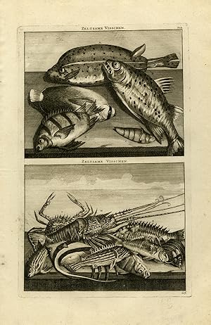 Antique Print-Natural history-Ichtyology-Depiction of exotic fish-lobster-De Bruyn-1711